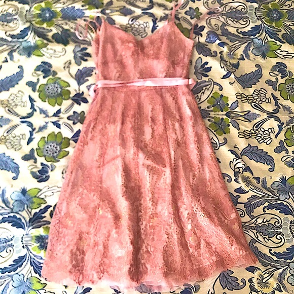 AnnTaylor Rosé Gold Lace Dance Party Champagne Cocktail Dress - Picture 2 of 13